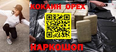 крисы Сланцы