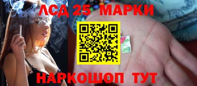 крисы Сланцы