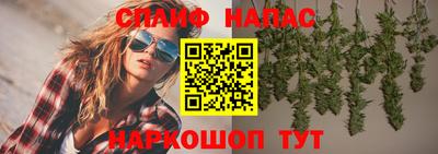 крисы Сланцы