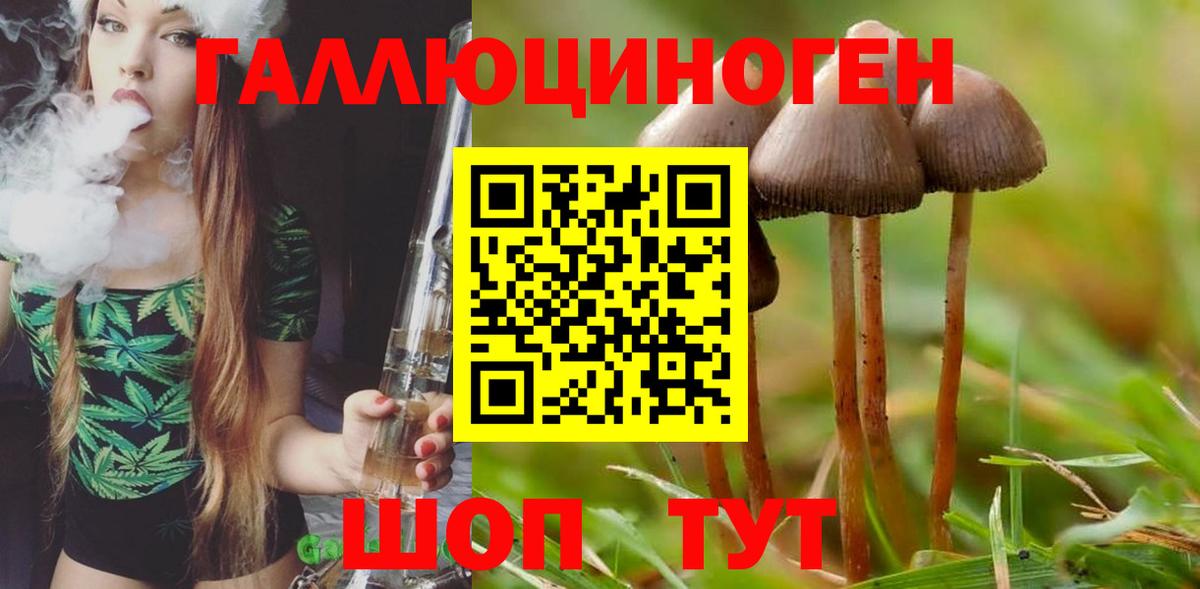 Псилоцибиновые грибы мухоморы  Псилоцибиновые грибы GOLDEN TEACHER  Вход с VPN  Осинники 
